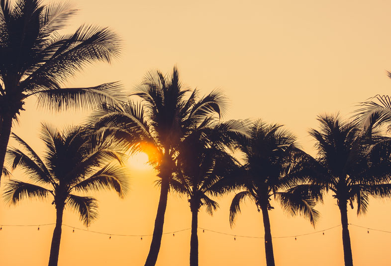 洛杉矶八强赛事 2026年7月10日 - Pitchside Lounge